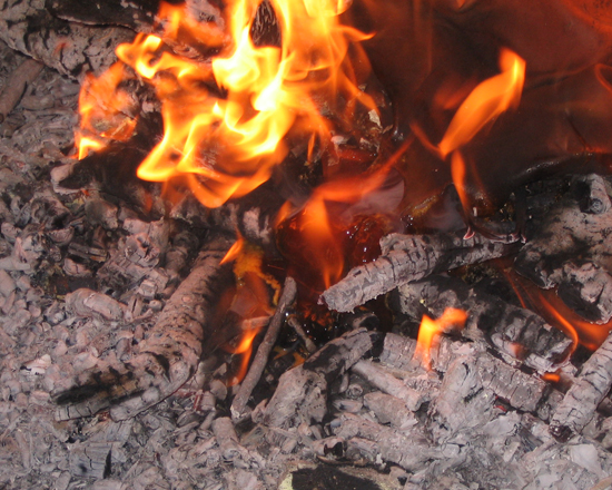 DB08_550.jpg