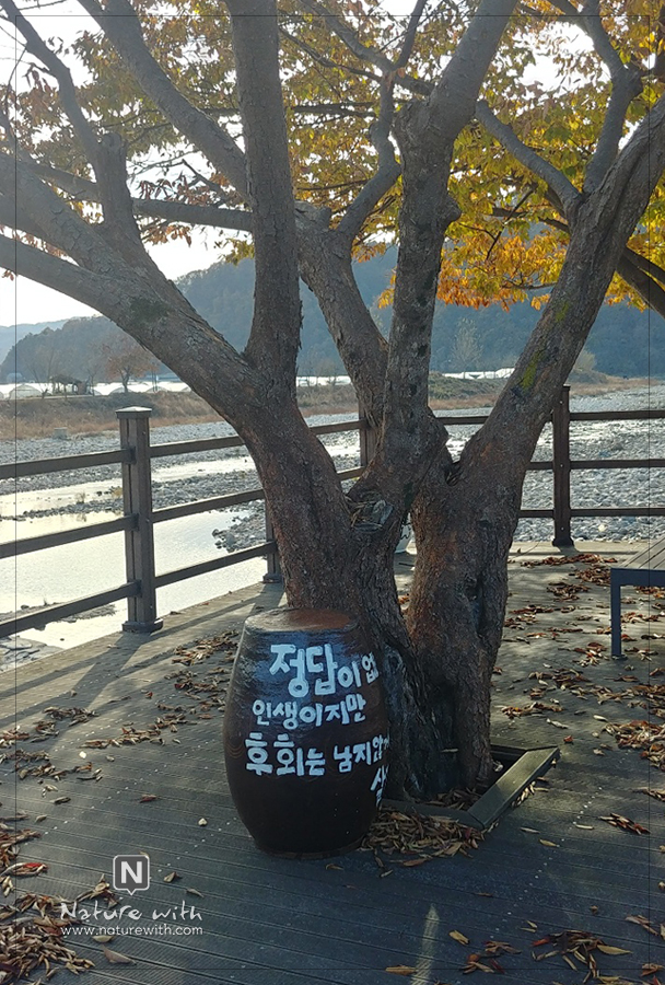 네이처위드