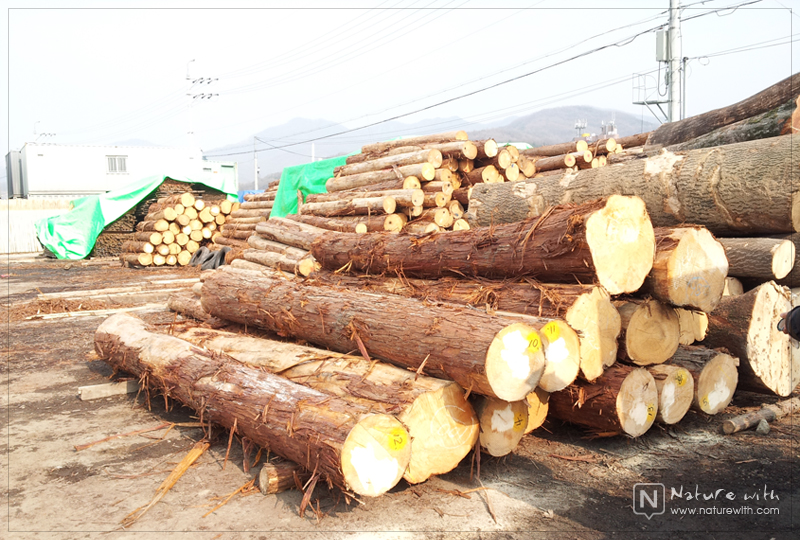 네이처위드