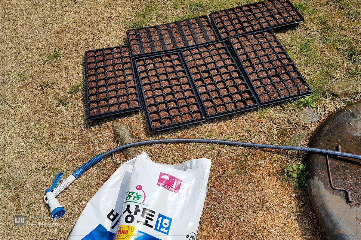 네이처위드