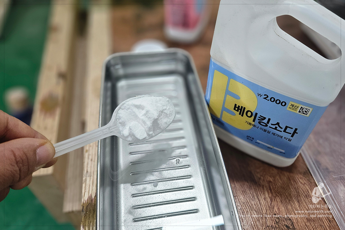 네이처위드